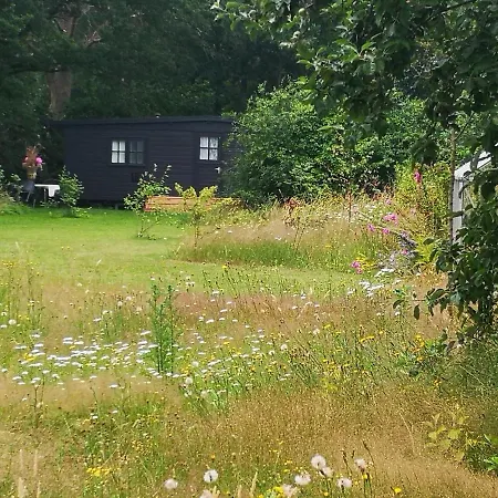 Het Nijhuisje Markelo Extérieur photo